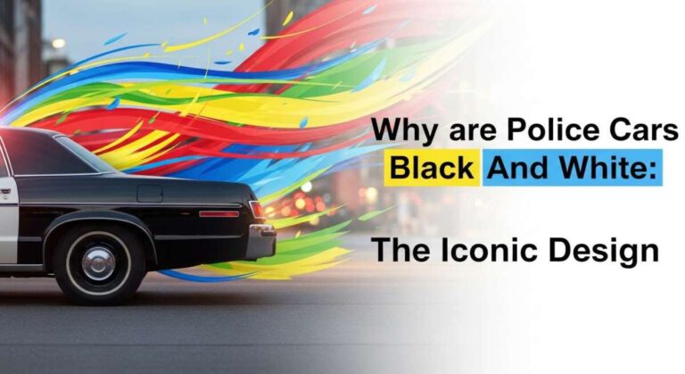 Why are Police Cars Black And White